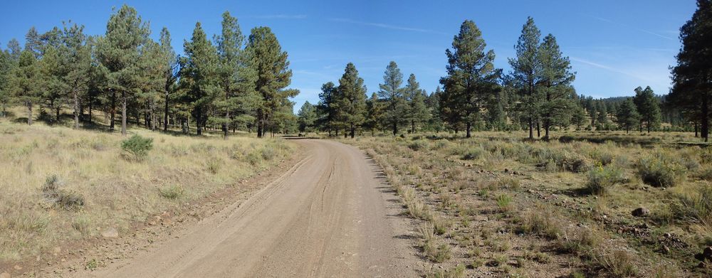 GDMBR: We're pedaling northward on NF-214 and departing the large park area.